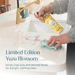 Everyday Multi-Surface Cleaner